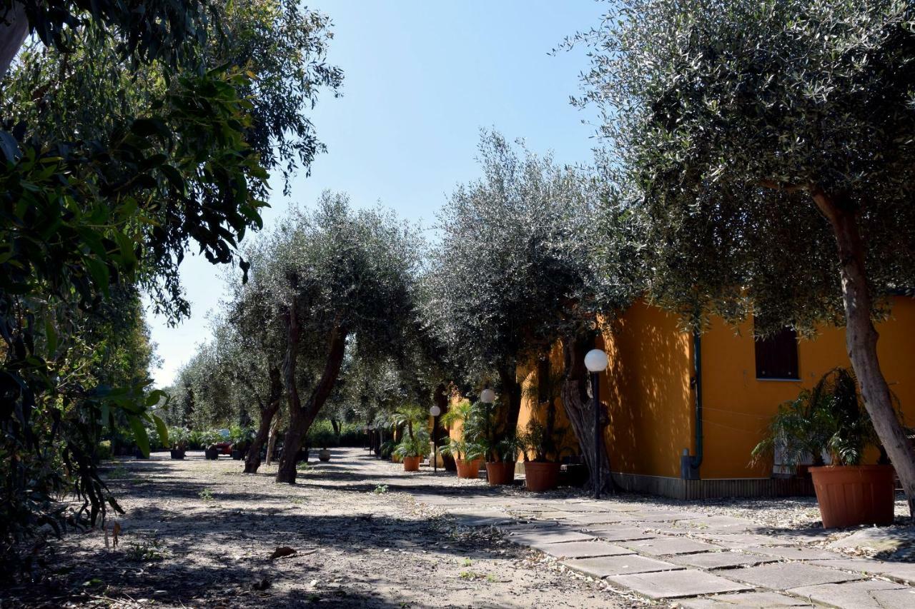 Riviera Degli Eucalipti - Cottage In Riva Al Mare Acireale Bagian luar foto