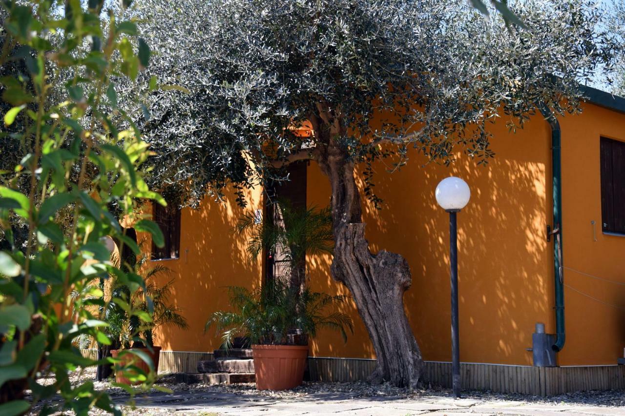 Riviera Degli Eucalipti - Cottage In Riva Al Mare Acireale Bagian luar foto