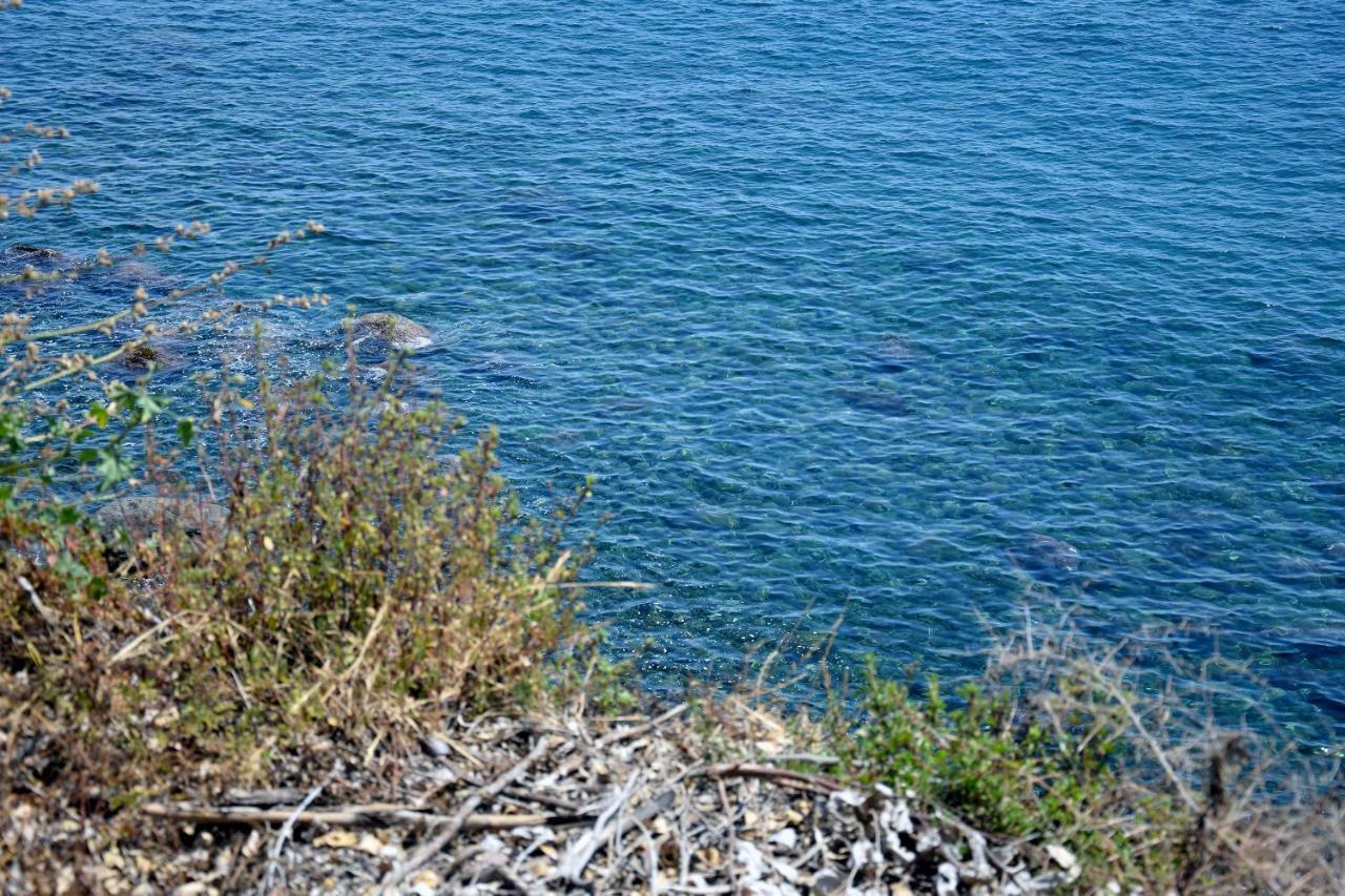 Riviera Degli Eucalipti - Cottage In Riva Al Mare Acireale Bagian luar foto