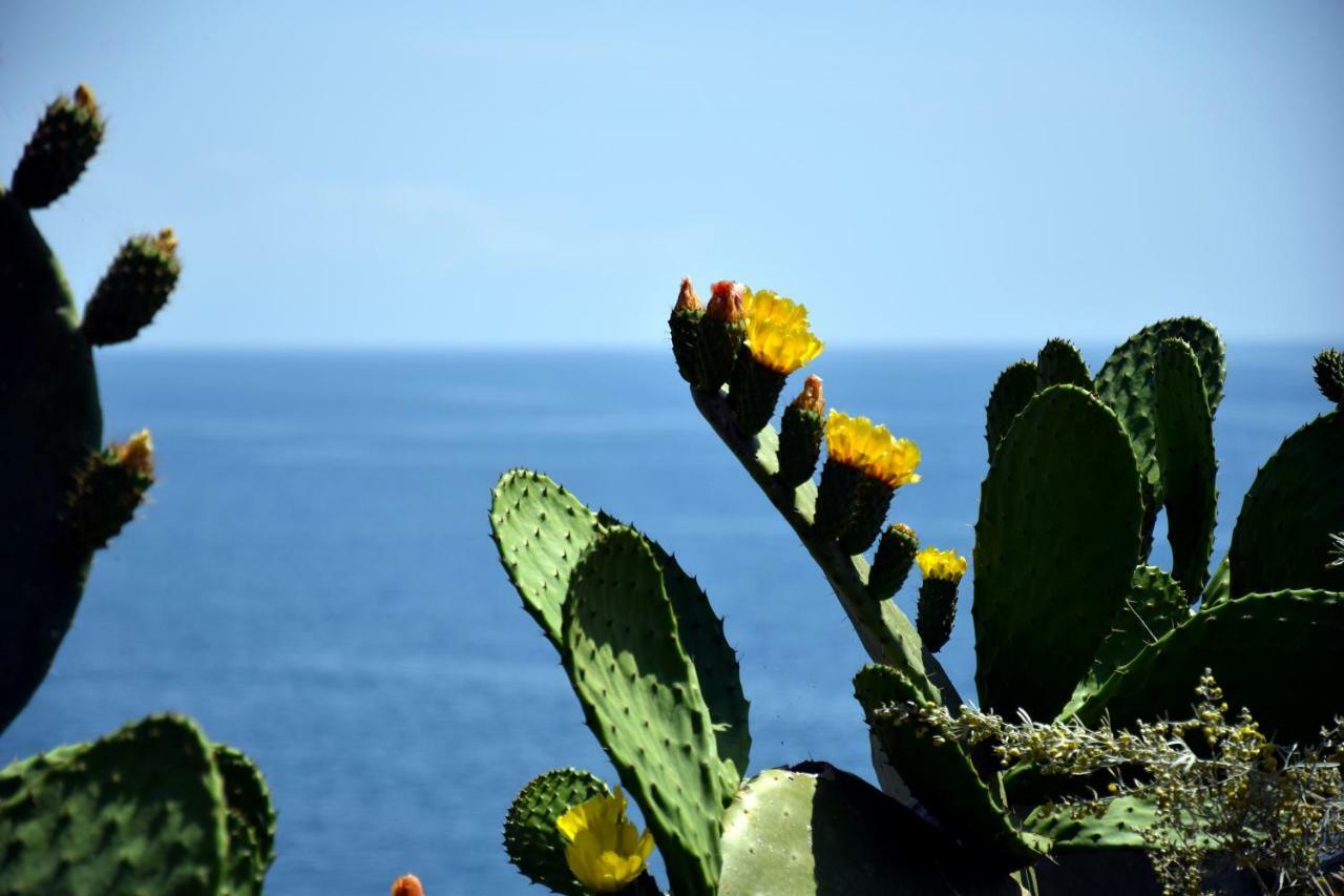 Riviera Degli Eucalipti - Cottage In Riva Al Mare Acireale Bagian luar foto